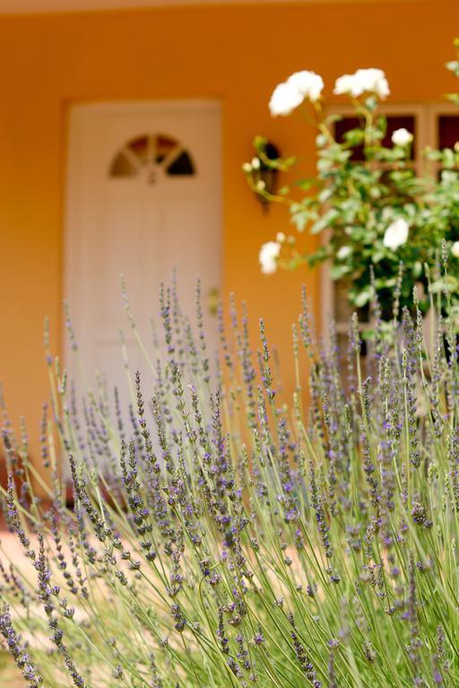 Little Tuscany Boutique Hotel Johannesburgo Exterior foto